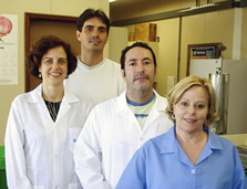 MsC. Vera de Toledo Benassi
Dr. Marcelo �lvares de Oliveira
MsC. Jos� Marcos Gontijo Mandarino
Dra. Mercedes Conc&oacute;rdia Carr&atilde;o Panizzi